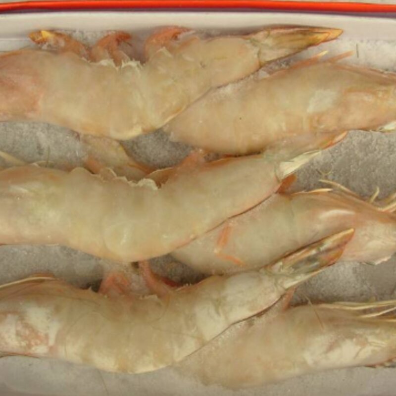 冷冻食品批发行业好做吗？一般利润有多少？(1)