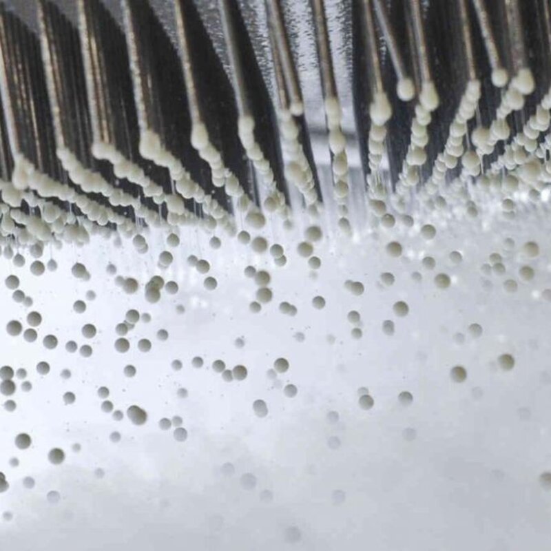 粒粒雪糕怎么做（创新点用零下196度的低温）(2)