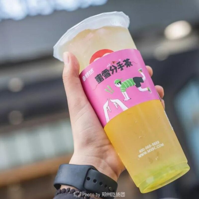 蜜雪冰城怎么开（解读蜜雪冰城要多少钱）(3)