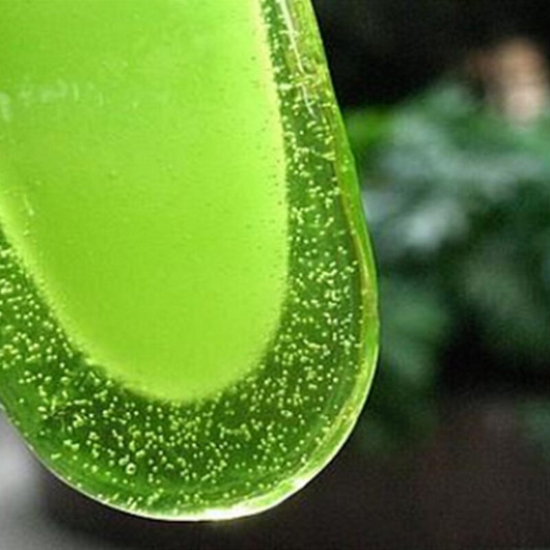 绿舌头雪糕批发加盟费怎么样（绿舌头加盟优势详解）(1)