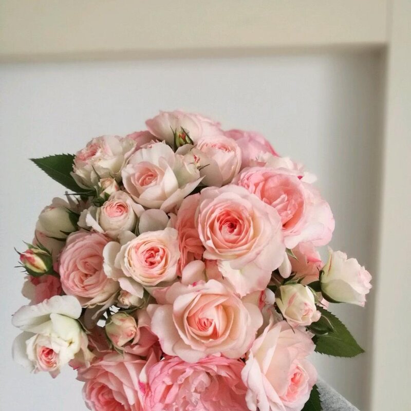 可爱多多少钱（解析可爱多基本信息）(6)