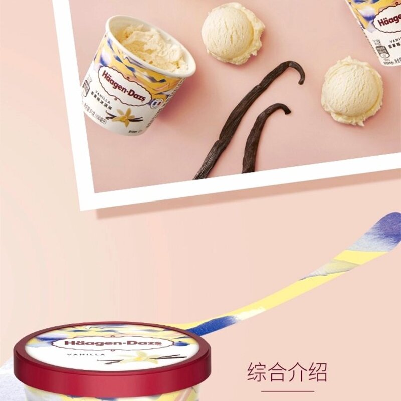 哈根达斯芒果小杯  81g  24杯(2)