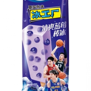 伊利冰工厂清爽蓝莓雪糕冰棍棒冰夏日热销冰