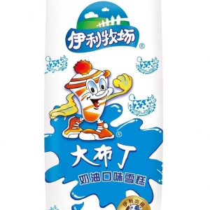 伊利 大布丁奶油口味雪糕冰淇淋冰激凌冷饮