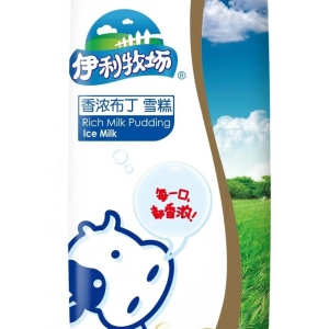 伊利牧场香浓布丁雪糕精品牛奶味丝滑冰淇淋