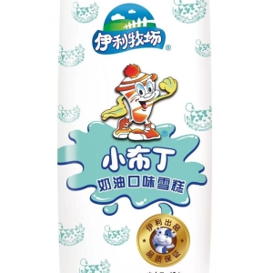伊利 小布丁奶油口味雪糕冰淇淋冰激凌冷饮